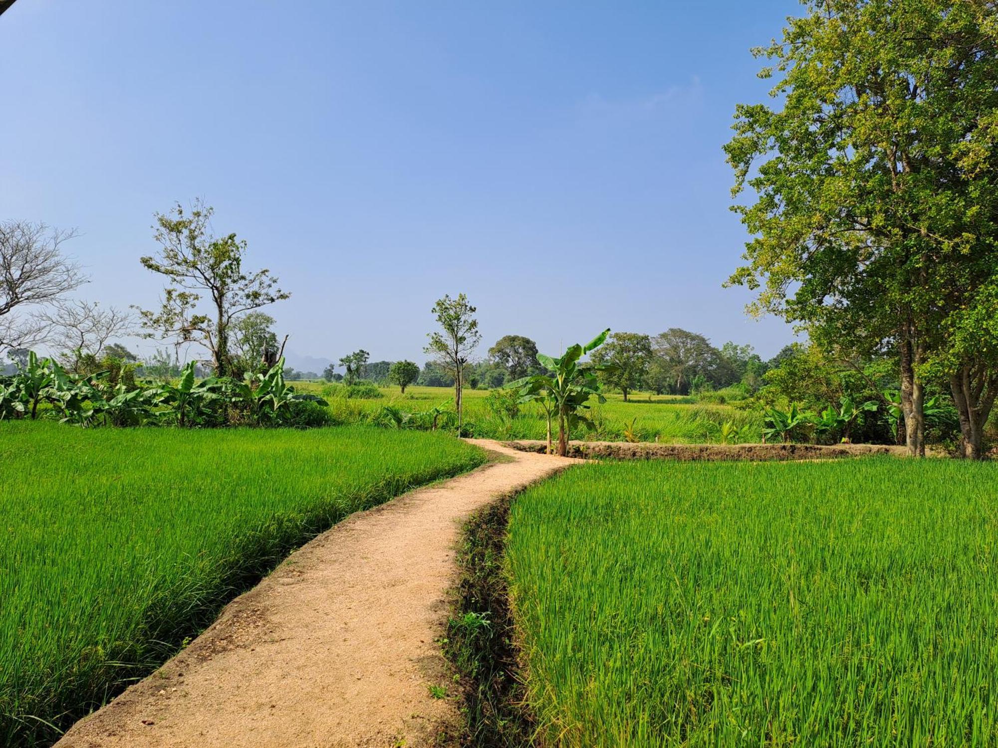 The Nature Park Villa Sigiriya Ngoại thất bức ảnh